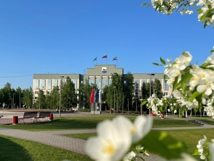 Озеленение в Сургуте пройдет в несколько этапов