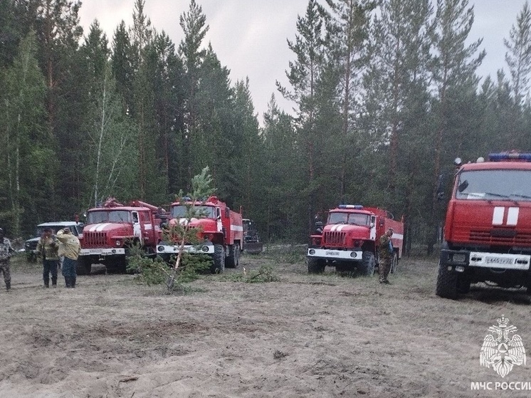 Пожар в Егорьевском районе Алтайского края разросся до четырех тысяч гектаров
