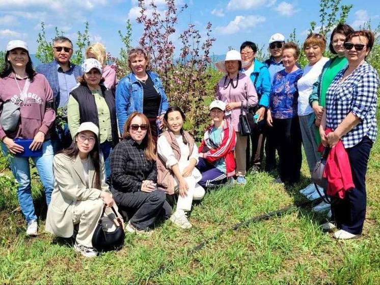 Педагоги агроклассов Бурятии обучились основам садоводства