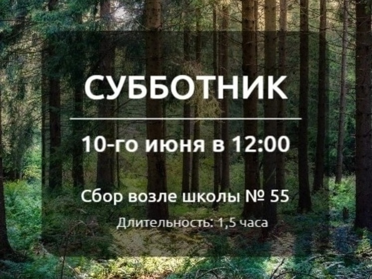 В Курске волонтеры CGW планируют провести субботник в Поповском лесу