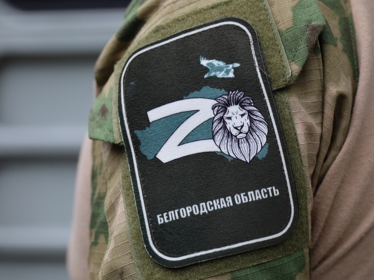 Белгородка предложила наградить членов территориальной самообороны