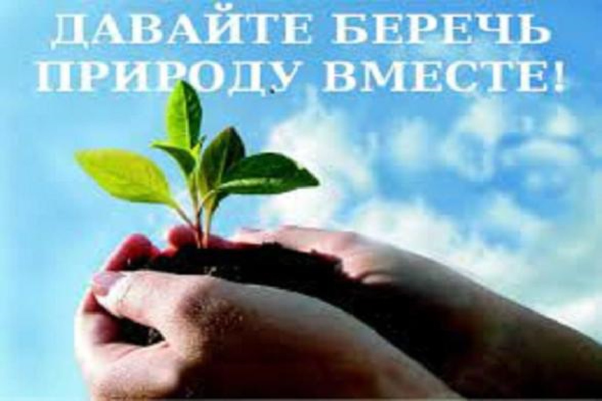 Давай сохраним красивую историю. Берегите природу. Berigiti prerodu. Экология. Сохраним природу вместе.