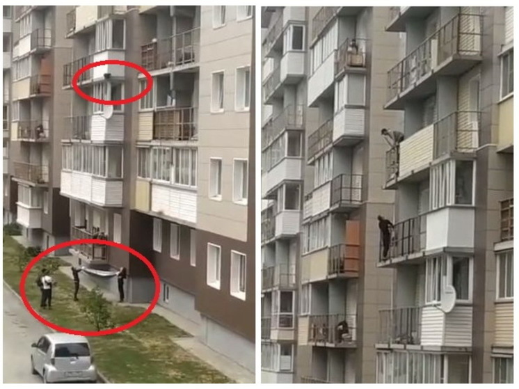 В Новосибирске очевидцы спасли кошку от падения с 5 этажа дома на "Родниках"