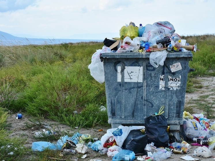 Экотехнопарк Шредингера: когда и где в Ленобласти появится промышленный объект переработки и утилизации отходов