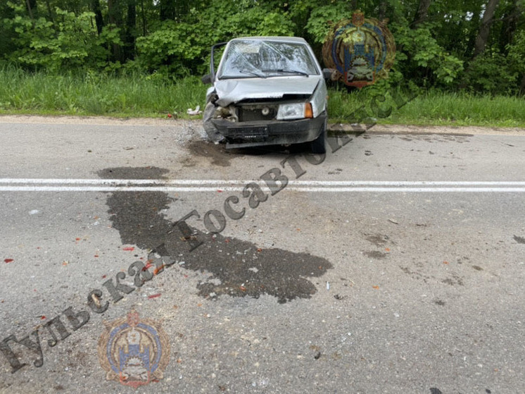 В ДТП с мусоровозом в Алексинском районе пострадал 58-летний мужчина