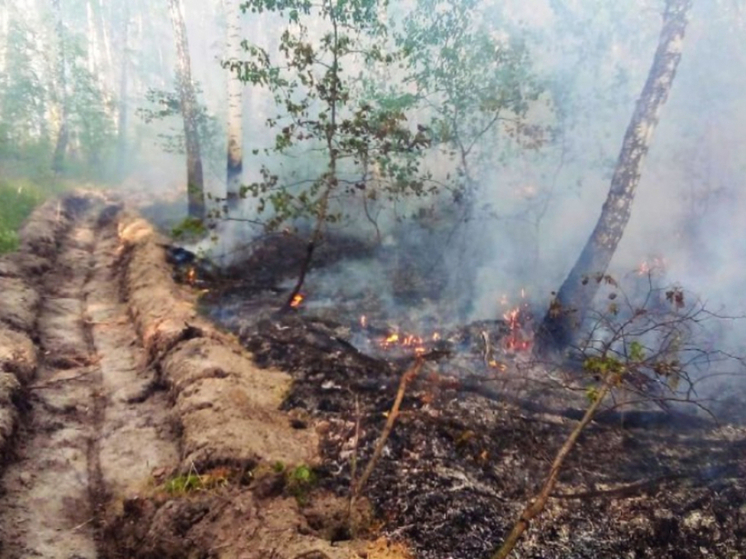 В Омской области несколько дней тушили возникший из-за грозы лесной пожар