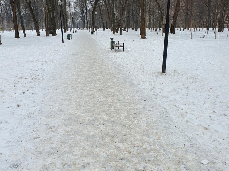 "Тульские парки" выплатят компенсацию тулячке после ее падения на льду