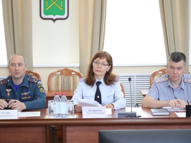 С начала года в Рязанской области 8 человек пострадали в ДТП с электросамокатами