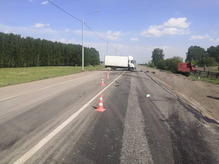 В Красноярском крае водитель грузовика погиб в ДТП