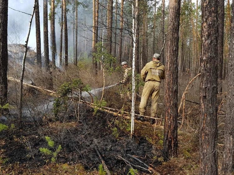 3 лесных пожара потушили в Иркутской области за сутки