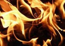 Пожарные полтора часа тушили дом во Всеволожском районе днем 9 июня. Об этом сообщили в пресс-службе ГУ МЧС по Ленобласти.