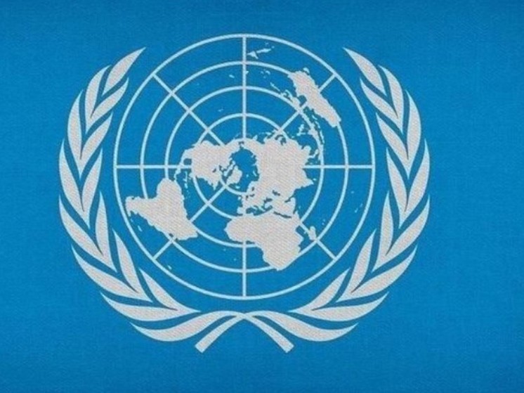 В ООН ответили на претензии Зеленского