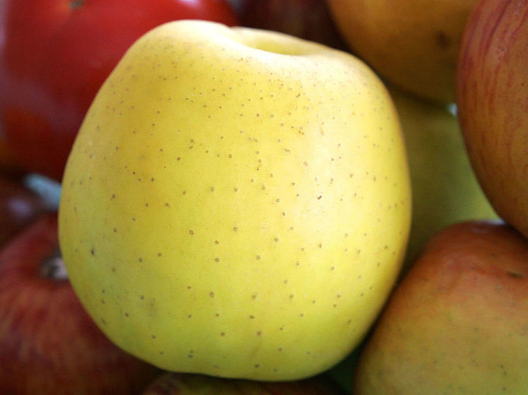 Врач назвала топ-7 полезных фруктов для худеющих