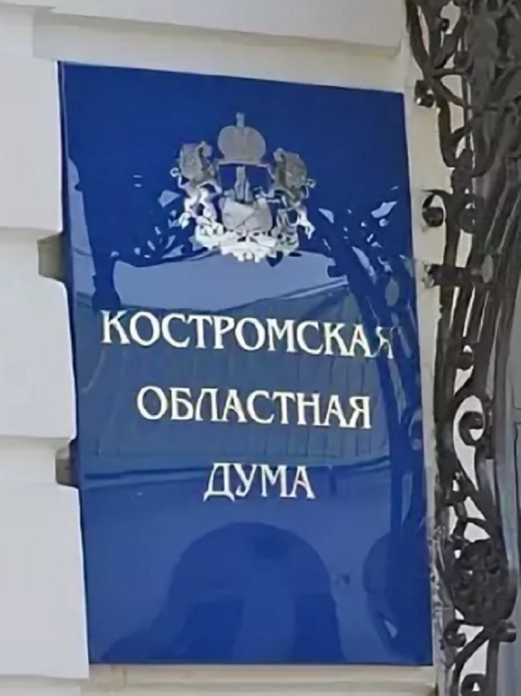 Депутаты Костромской областной Думы запретили перепрофилировать летние лагеря отдыха