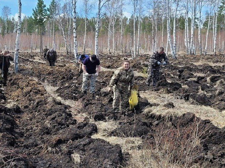 Сосны, ели и абрикосы высадили в Забайкалье во время акции «Сад памяти»