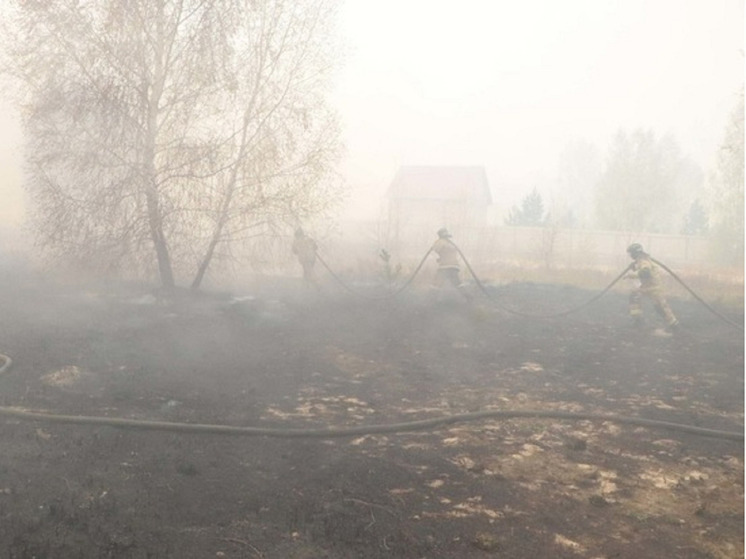 Все лесные пожары локализовали в Свердловской области