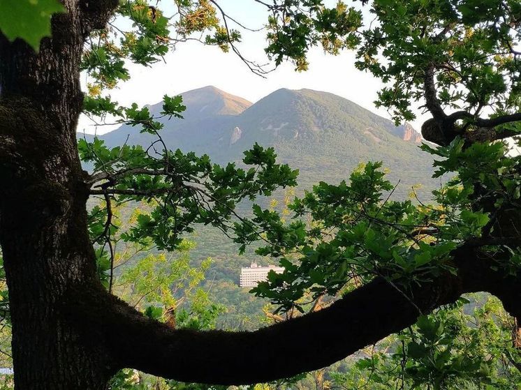 200 детей из Новоалександровского округа побывают в санаториях и оздоровительных центрах