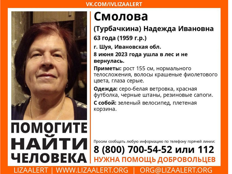 «Лиза Алерт» просит у жителей Ивановской области записи с видеорегистраторов для поиска пропавшей пенсионерки