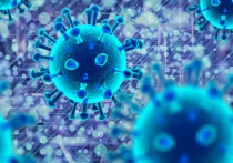 Медики выявили еще 13 новых случаев заражения коронавирусом в Ленобласти за последние сутки. Об этом свидетельствуют данные Роспотребнадзора на 10 июня.