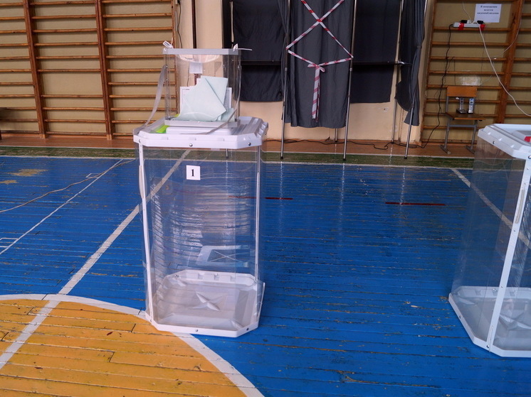 Чувашия впервые организует выборы в дистанционном формате