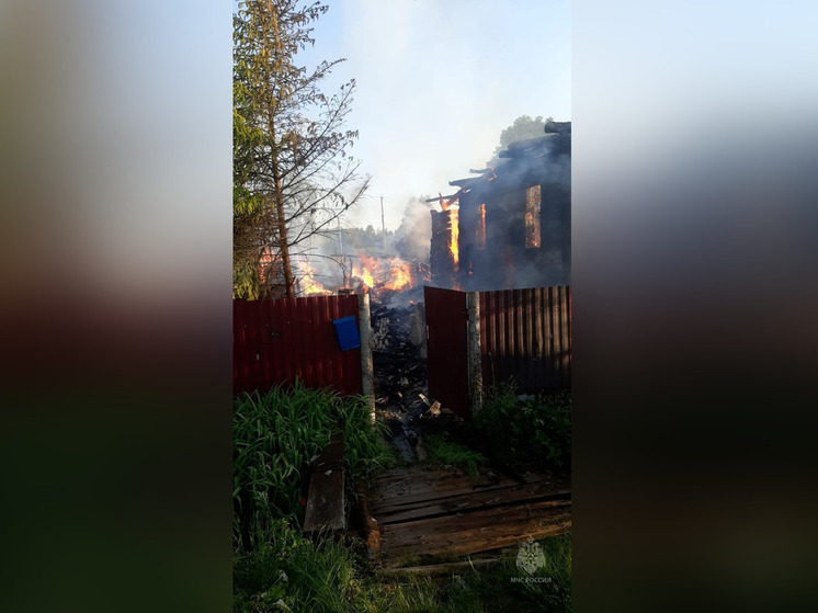 В поселке Парфино при пожаре в частном доме погиб один человек