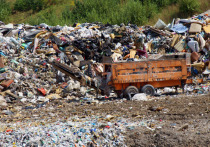 Нелегальную свалку строительных отходов ликвидировали в Гатчинском районе. Об этом сообщили в пресс-службе Эконадзора Ленобласти.