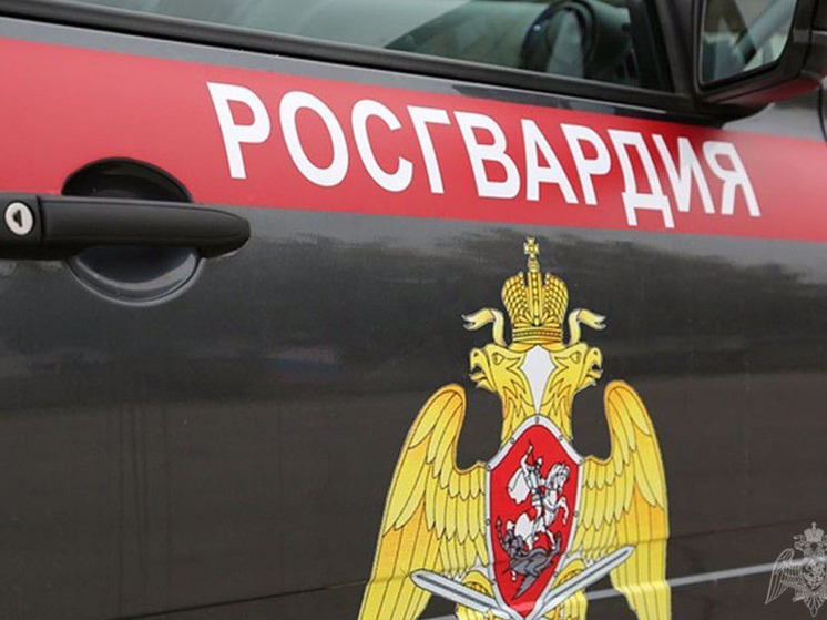 Мурманчанка пыталась украсть шоколад и освежитель воздуха из супермаркета