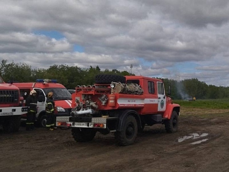 В Приморском районе организовали учения по тушению лесных пожаров