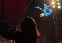 Трибуны в цирке-шапито в Лесколово обвалились во время представления вечером 10 июня. Об этом сообщили в пресс-службе правительства Ленобласти.