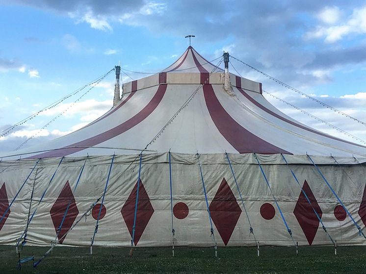 В Ленобласти рухнули трибуны в цирковом шатре, есть пострадавшие