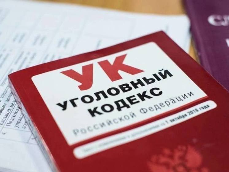 Следственный комитет проведет проверку по факту падения ветки дерева в Центральном парке Воронежа на 5-летнюю девочку