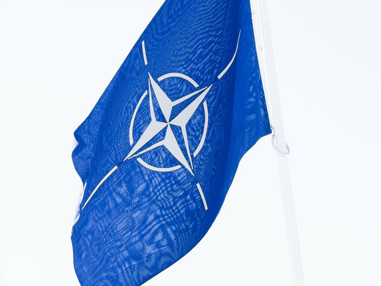 Замгенсека НАТО Джоанэ: среди членов альянса нет единства по приему Украины