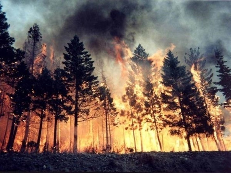 Жителей Ростовской области предупредили о высокой пожароопасности