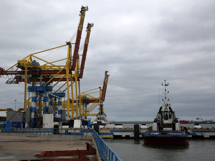 Грузооборот портов Арктического бассейна достиг 41,1 млн тонн за пять месяцев
