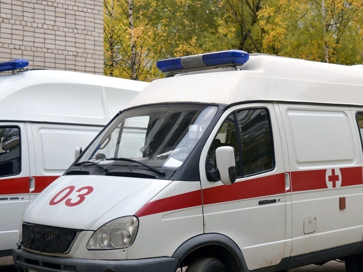 Семь человек попали в больницу после обрушения трибуны цирка в Ленобласти