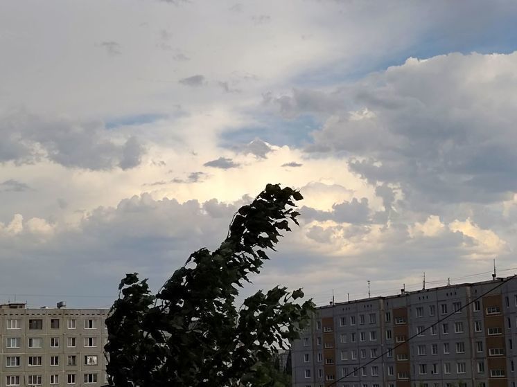 В Омской области прогнозируют грозы и сильный ветер в воскресенье