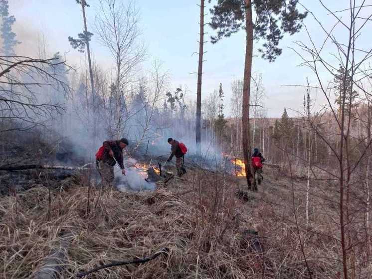 Пять новых лесных пожаров потушили в Приангарье за сутки