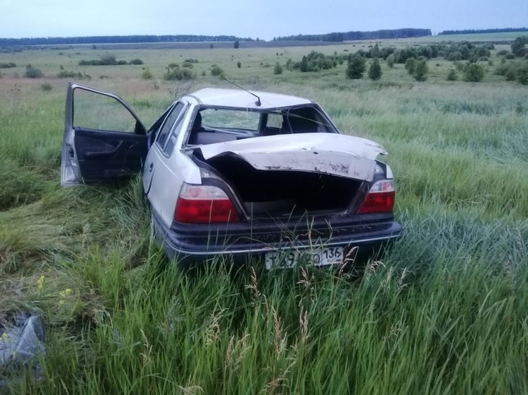 В Воронежской области при опрокидывании машины в кювет пострадал 2-месячный малыш и еще двое детей