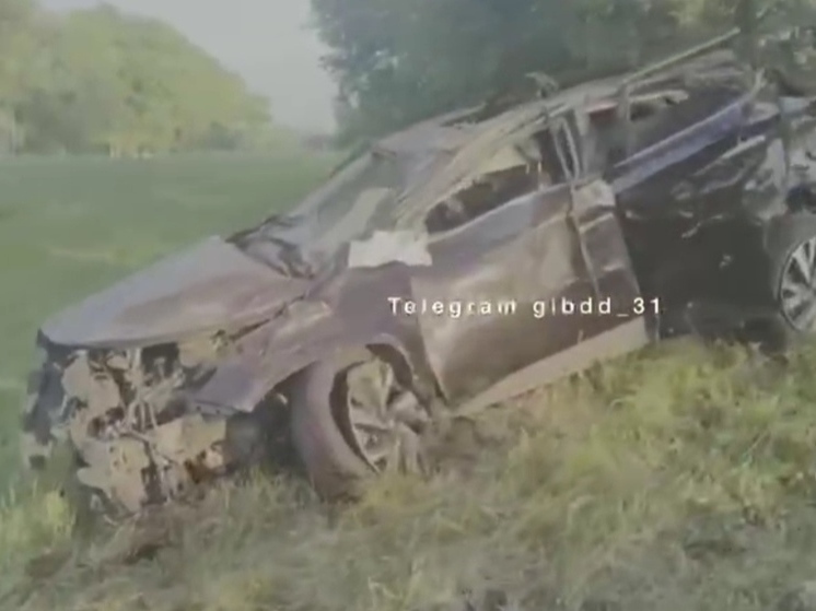 В Белгородской области 15-летний водитель иномарки влетел в дерево