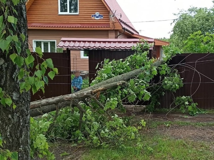 Огромное дерево рухнуло на забор жилого дома в Подмосковье