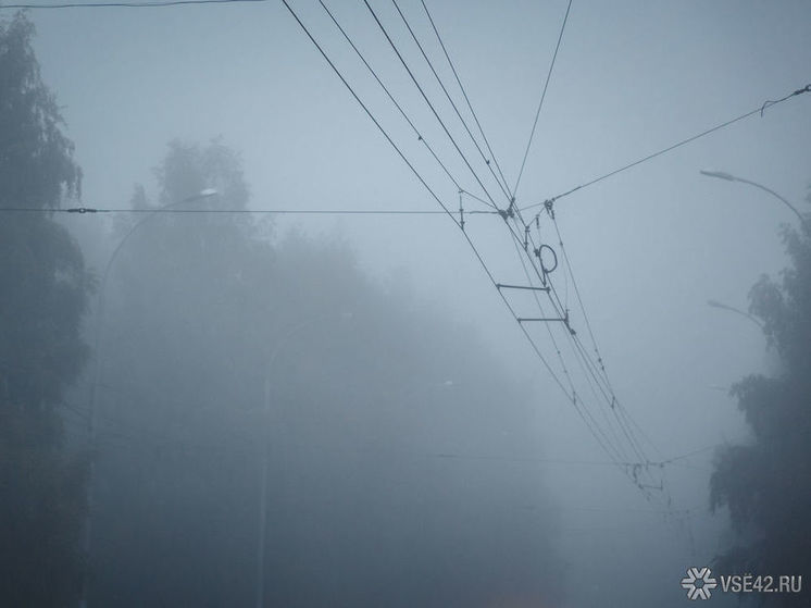 +27 и туман: какая погода ждёт Кузбасс в праздничный понедельник
