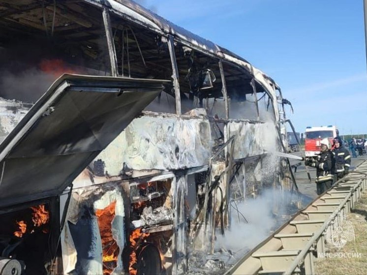 На трассе в Московской области дотла сгорел автобус из Волгограда
