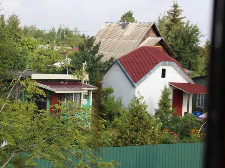 Человеческие останки нашли на огороде в Лодейнопольском районе