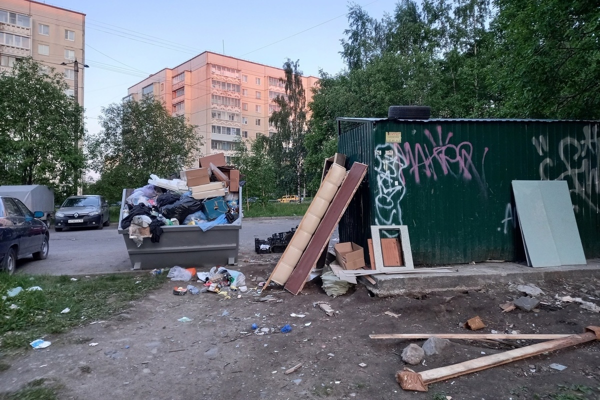 Жители Петрозаводска пожаловались на свинарник на помойках - МК Карелия