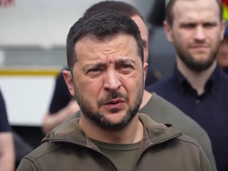 Сенатор Ковитиди: Зеленский привел конфликт в Донбассе к войне России и НАТО