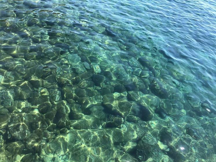 Эксперт Лебедев рассказал, чем можно заразиться в водоёме
