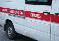 В московском аэропорту Шереметьево скончался мужчина, остановленный с партией наркотиков