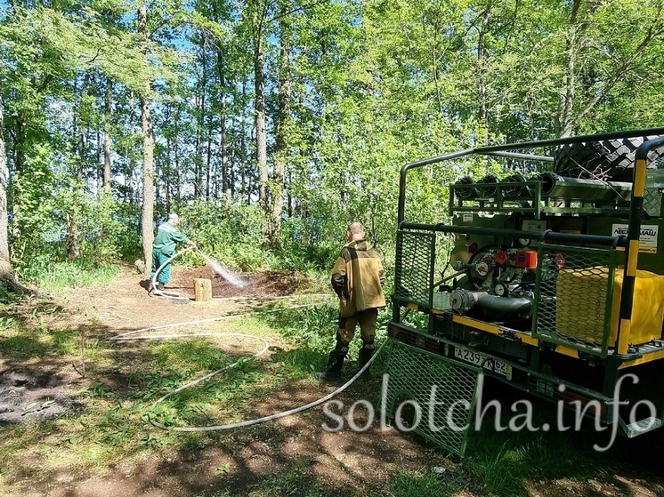 В лесу под Рязанью потушили торфяное возгорание на месте стоянки туристов