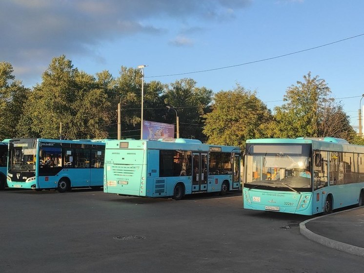 Три автобуса в Петербурге сменят маршруты в День России