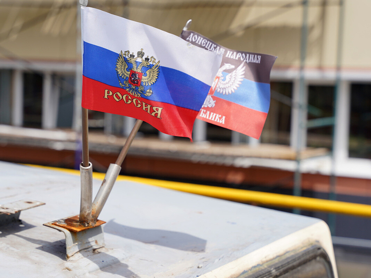 Жителям ДНР в День России раздадут национальные флаги и нашивки